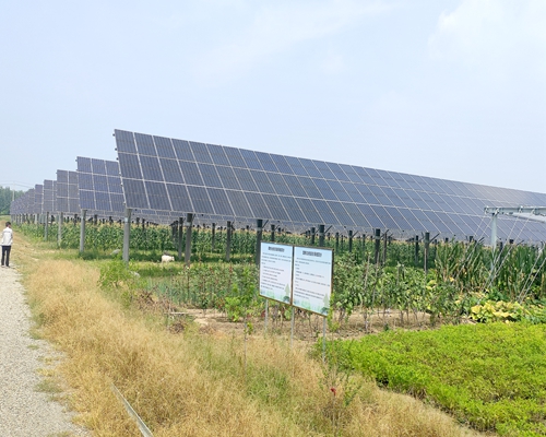 平度市崔家集鎮(zhèn)10MW現(xiàn)代光伏農(nóng)業(yè)項目